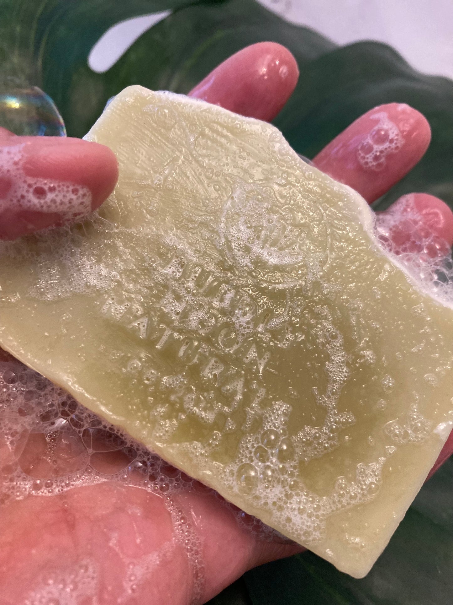 Artisan Soap Bar #2 Woodsy