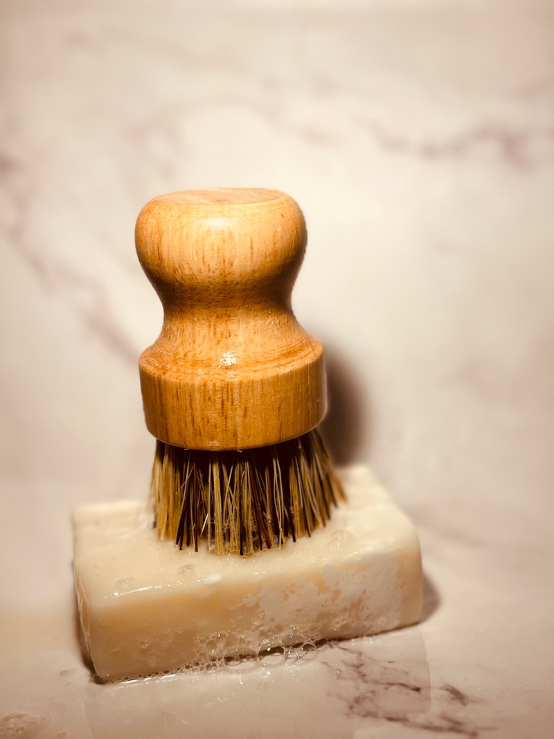 coconut fiber pot scrubber on top of solid dish soap bar by Bubbly Moon Naturals