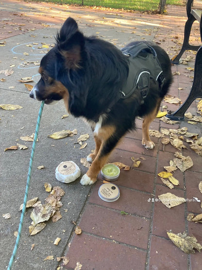 Herbal Pet Salve