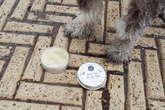 Two small containers of pet product on a textured pavement with a dog's paw in the background.