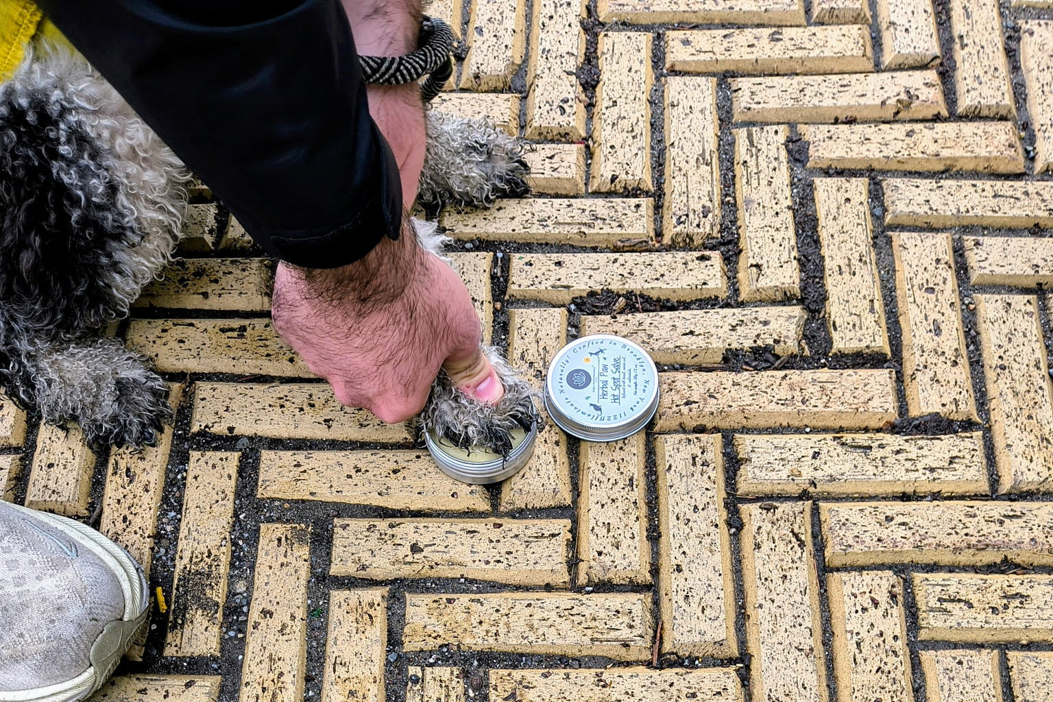 Paw being placed in Bubbly Moon Naturals' Herbal Paw Salve Tin on concrete. 