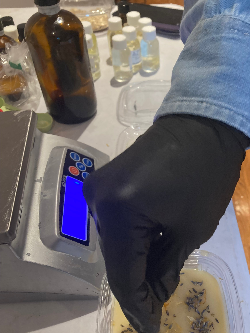 Bubbly Moon Naturals' cold-process soap making participant adding herbs to the top of their cold-process soap.